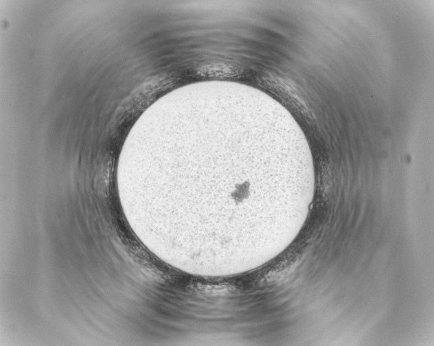 X0000088580645200706221317