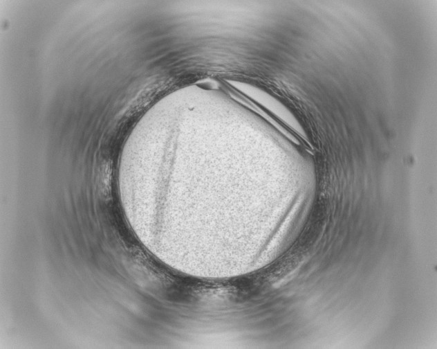 X0000088580646200706221317