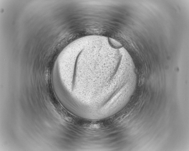 X0000088580647200706221317