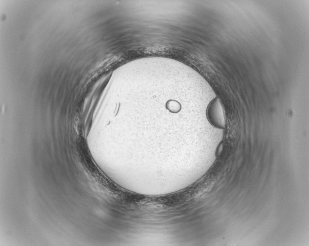 X0000088580648200706221317