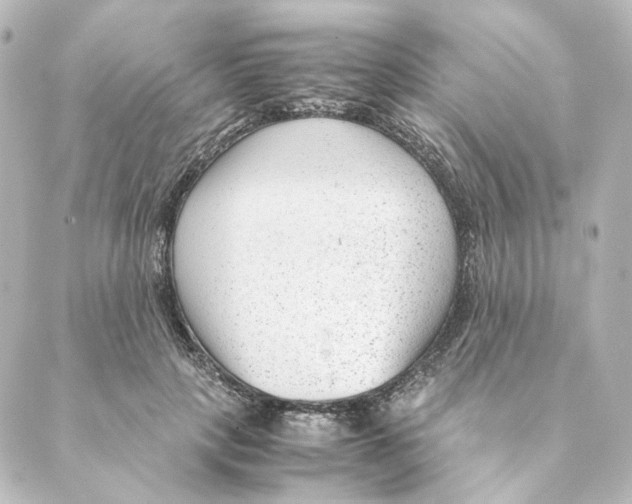 X0000088580649200706221317