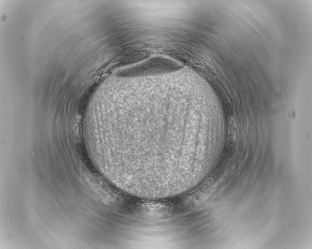 X0000088580650200706221317