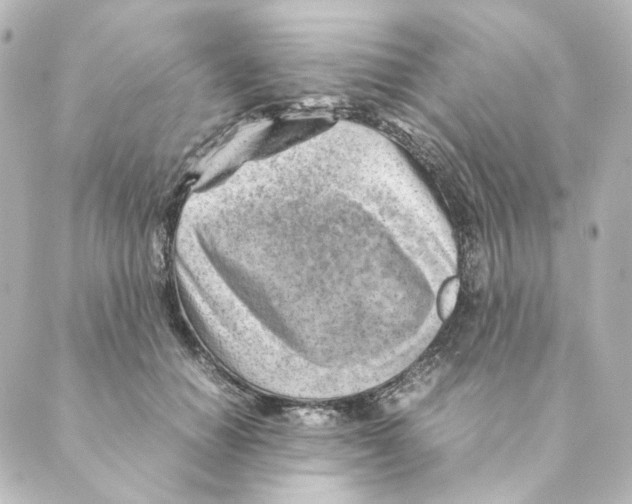 X0000088580654200706221317