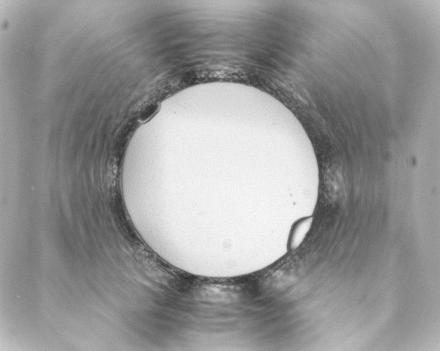 X0000088580657200706221317