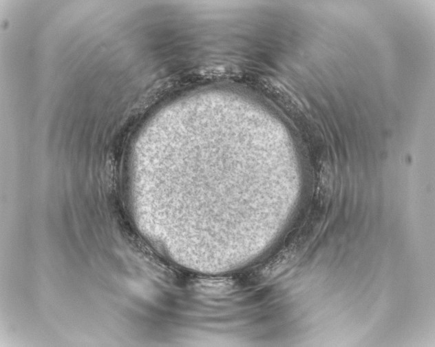 X0000088580659200706221317