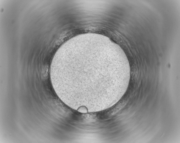 X0000088580660200706221317