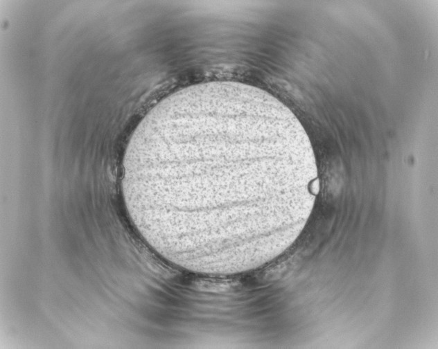 X0000088580661200706221317