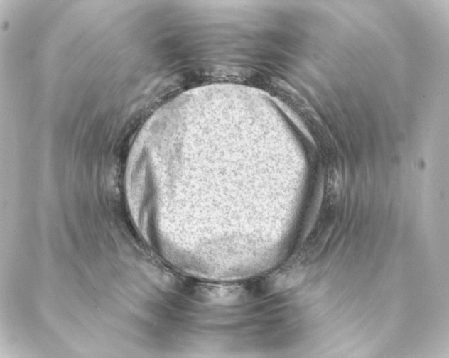 X0000088580663200706221317