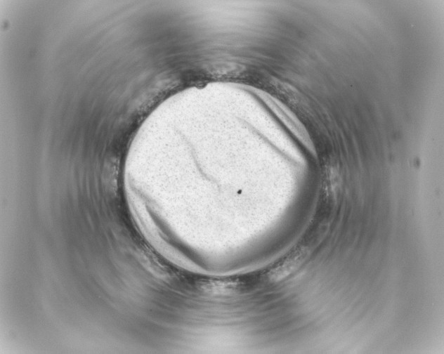 X0000088580664200706221317