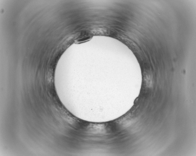 X0000088580665200706221317