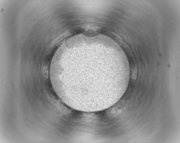 X0000088580666200706221317