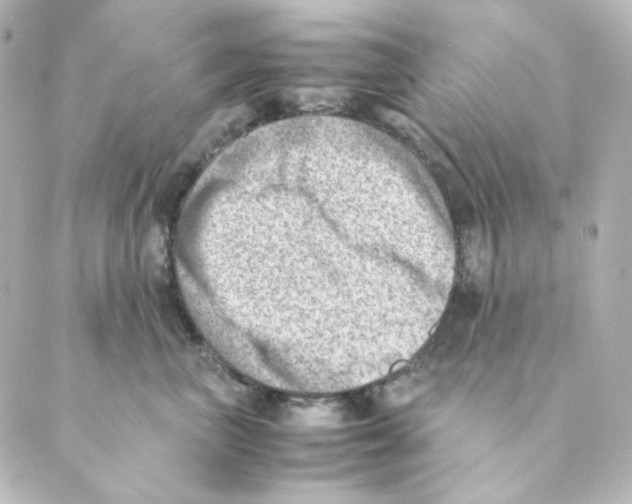 X0000088580667200706221317