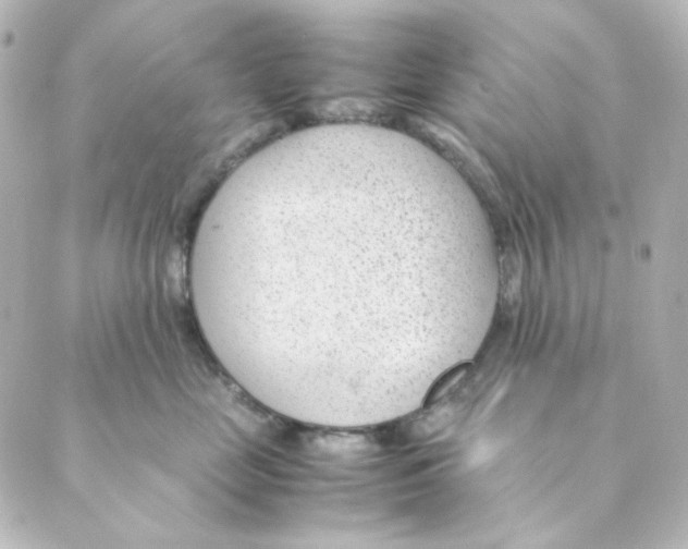 X0000088580669200706221317