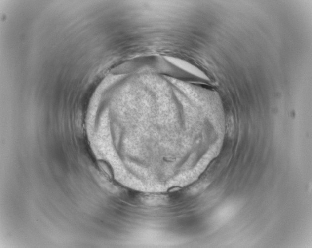 X0000088580670200706221317