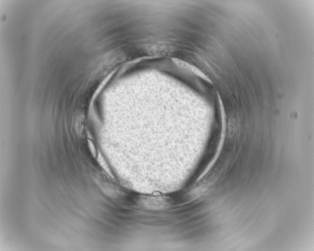 X0000088580671200706221317