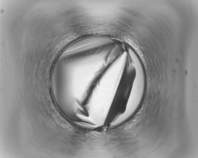 X0000088580673200706221317