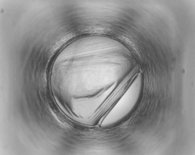 X0000088580674200706221317