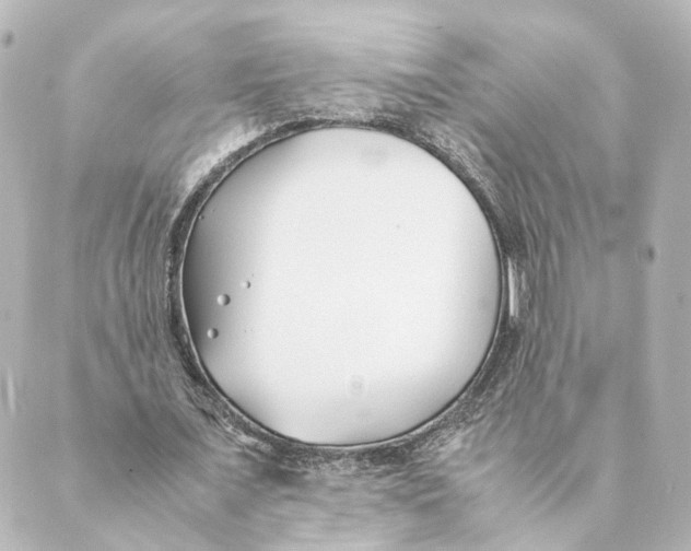 X0000088580675200706221317