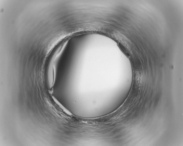 X0000088580676200706221317