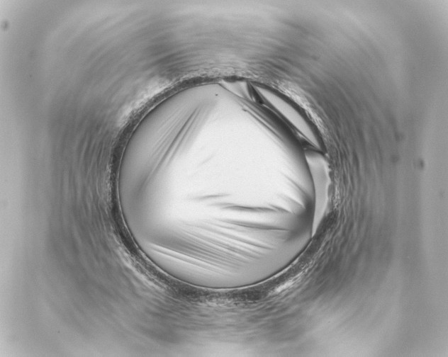 X0000088580677200706221317