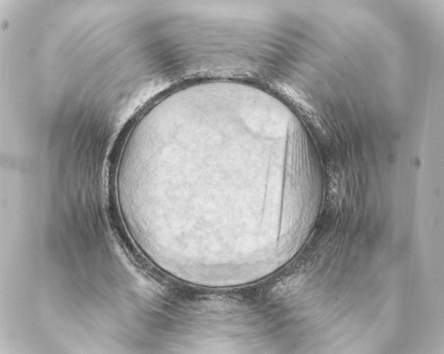 X0000088580678200706221317