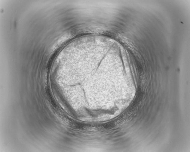 X0000088580679200706221317