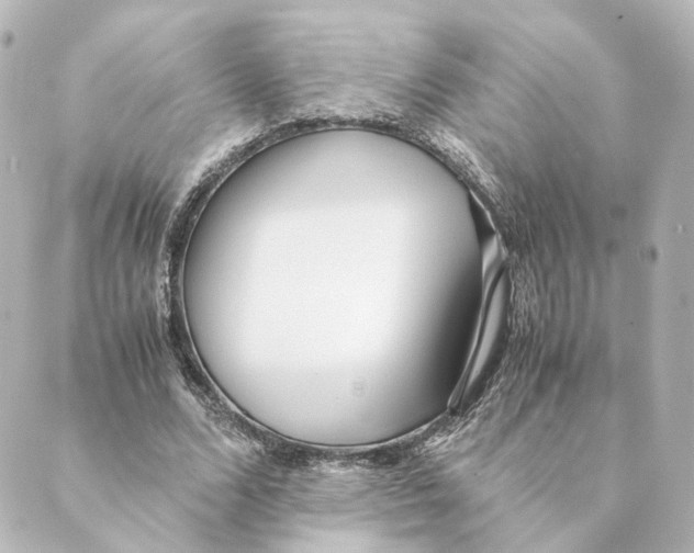 X0000088580680200706221317