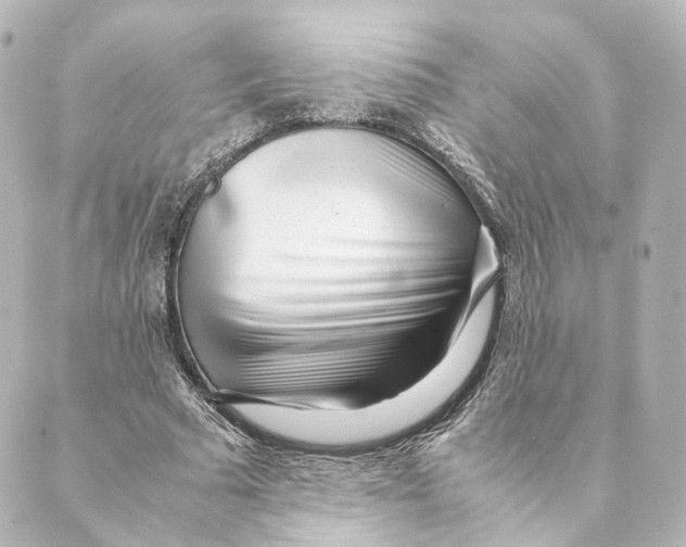 X0000088580681200706221317