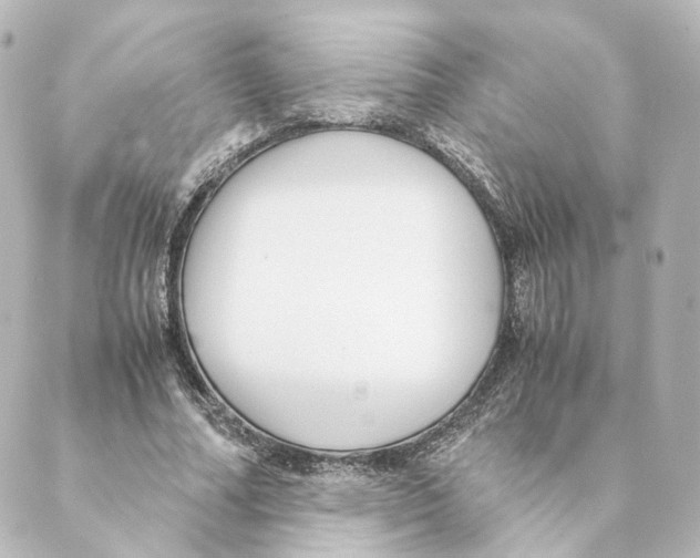 X0000088580682200706221317