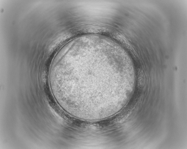 X0000088580683200706221317