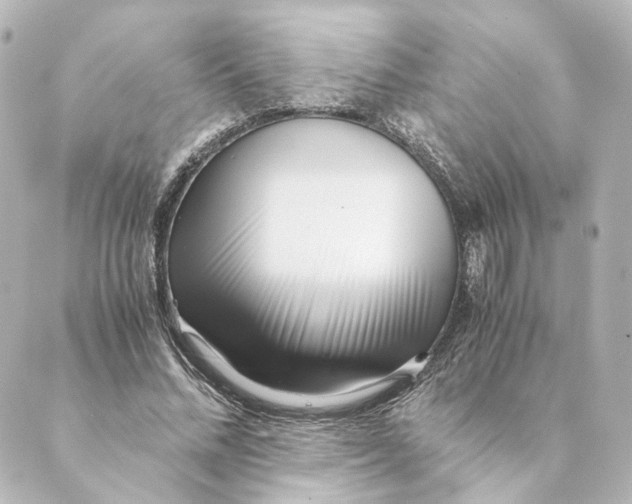 X0000088580684200706221317