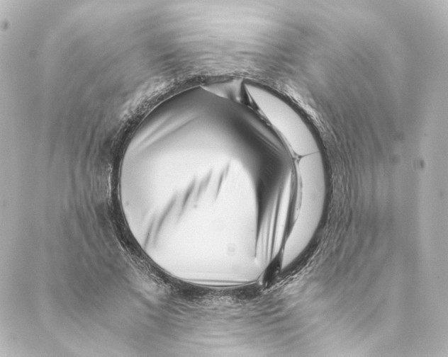 X0000088580685200706221317