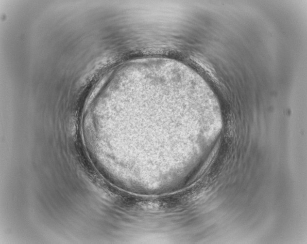 X0000088580687200706221317