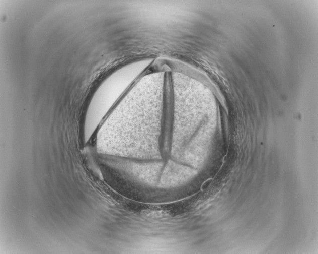 X0000088580689200706221316