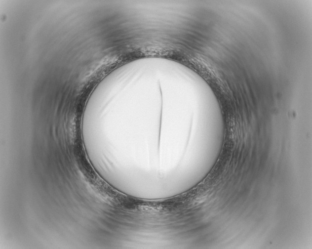 X0000088580690200706221316