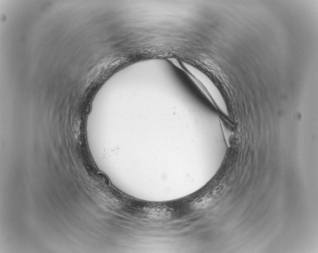 X0000088580693200706221316