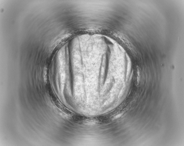 X0000088580696200706221316