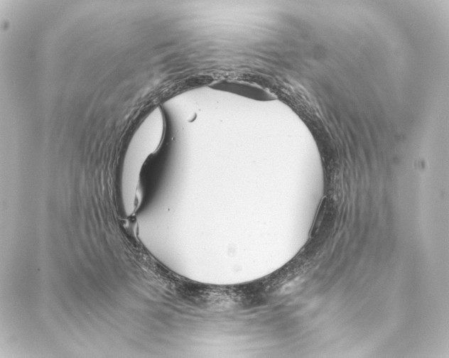 X0000088580697200706221316