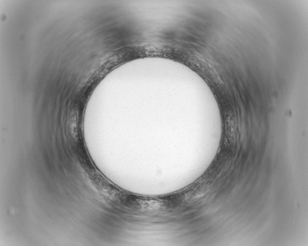 X0000088580698200706221316