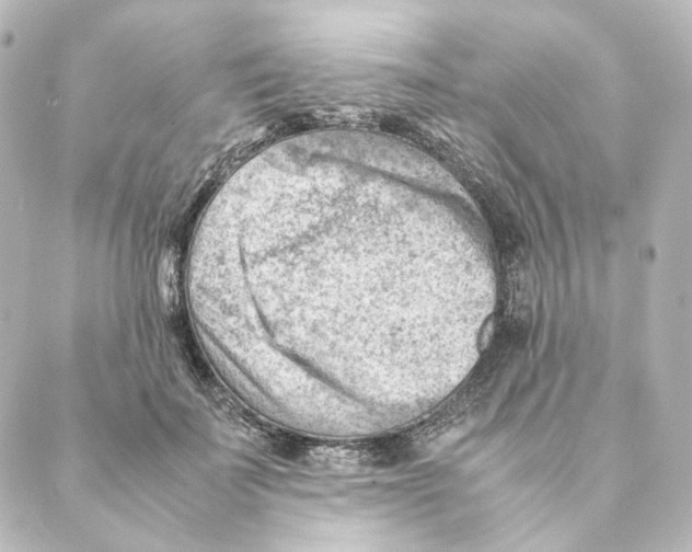 X0000088580699200706221316