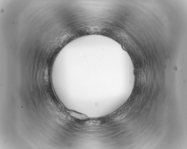 X0000088580700200706221316