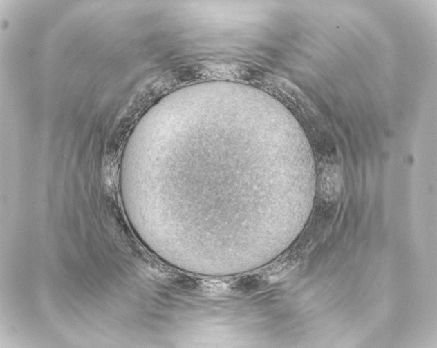 X0000088580701200706221316