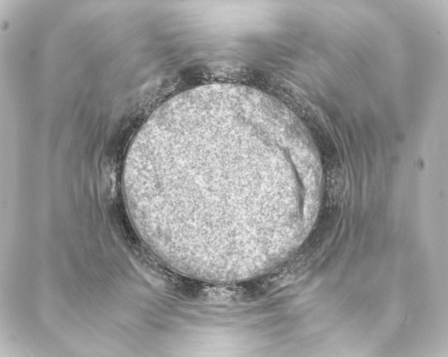 X0000088580703200706221316