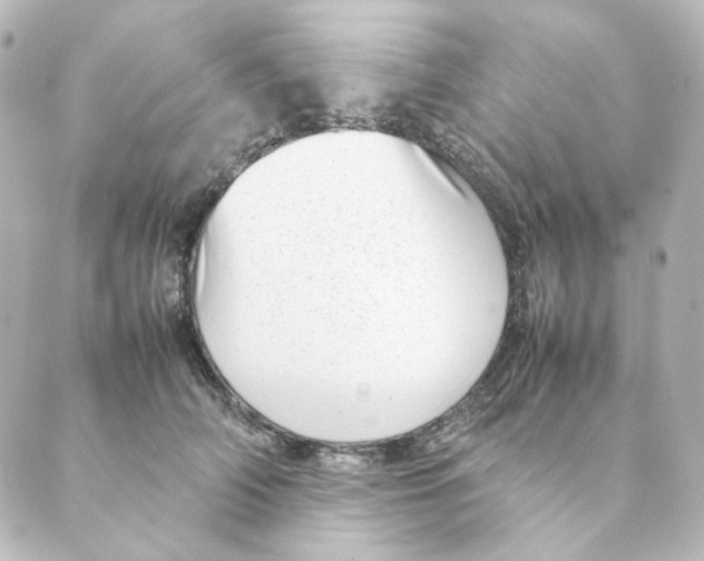 X0000088580706200706221316