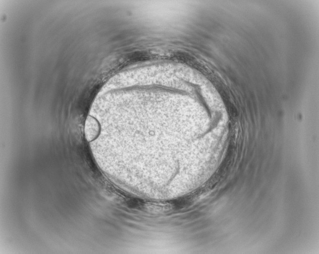 X0000088580707200706221316