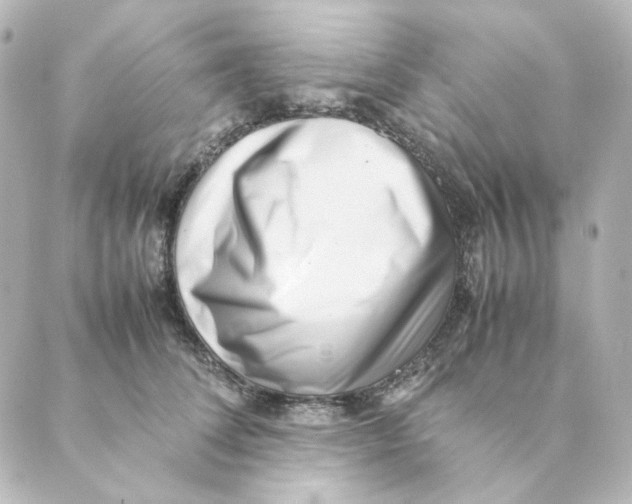 X0000088580708200706221316