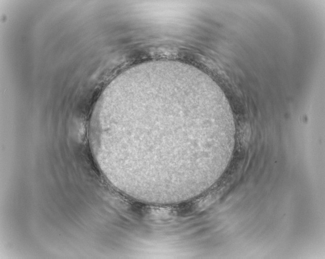 X0000088580709200706221316