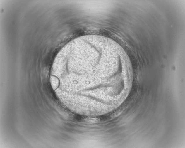 X0000088580711200706221316