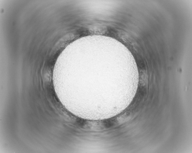 X0000088580713200706221316