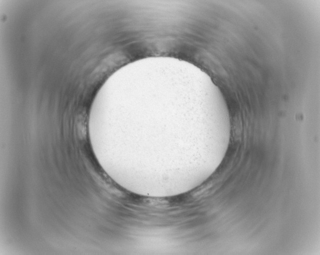 X0000088580719200706221316